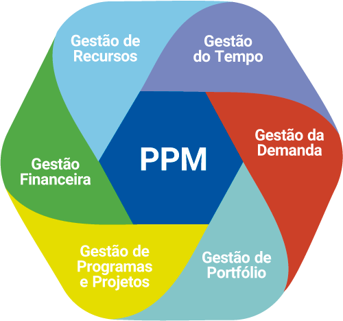 Gestão De Projetos E Portfólios Ppm Tgn Brasil 6305